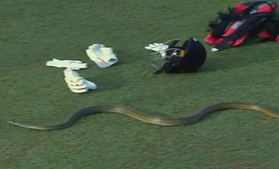 Snake in a LPL game