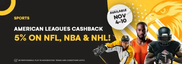 Exciting Cashback Offer: Get 5% Back on NFL, NBA, and NHL Bets on Sky247 NG