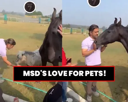 MS Dhoni