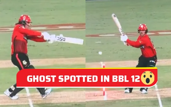 Watch: Bails get dislodged on its own during BBL Match between Melbourne Renegades and Brisbane Heat