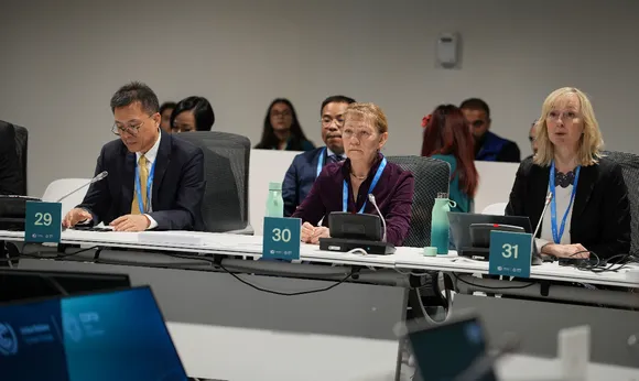COP29 UNIDO Promotes Green Industry for Climate Goals