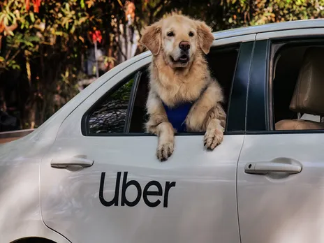 Uber Pet Expands to Delhi and Mumbai for Pet-Friendly Rides
