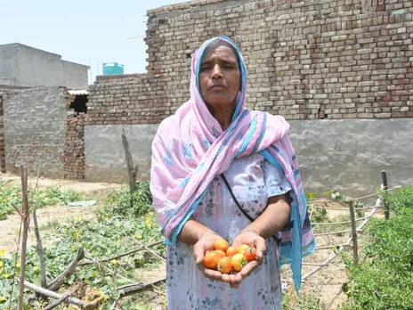Ambuja Cements Drives Rural Nutrition Through Kitchen Gardens in Bathinda