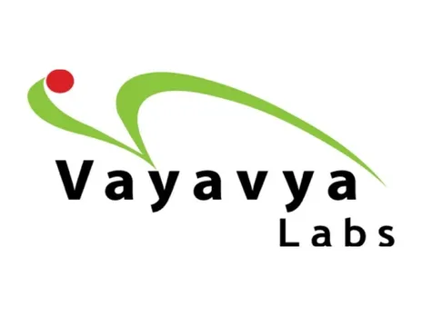 Vayavya Labs - logo