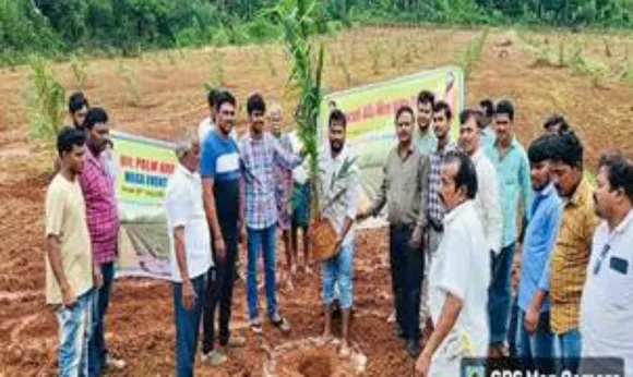 National Mission for Edible Oils