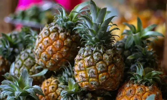 APEDA facilitates first Consignment of MD 2 Pineapples from India to UAE