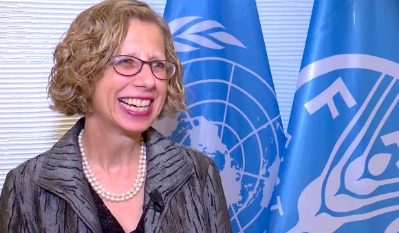 Inger Andersen, UNEP