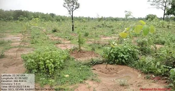 Coal Mining, Plantaion, Minitry of Coal