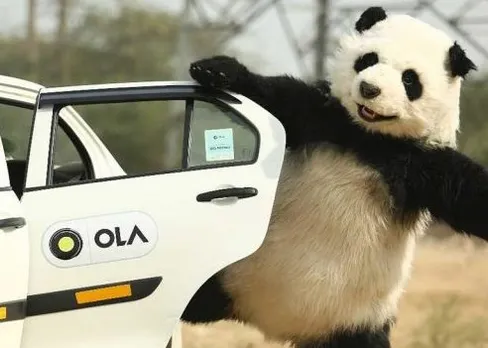 Ola, Foddpanda