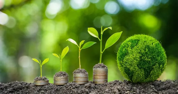 The,Ground,Plants,Grow,On,Coins.,The,Production,Of,Renewable