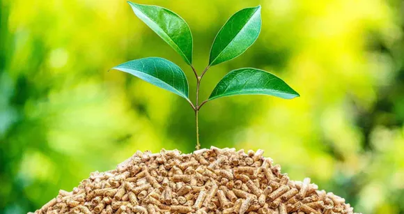Biomass Policy