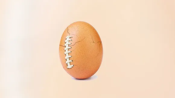 egg