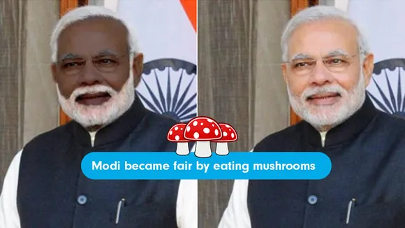 mushrooms