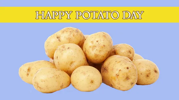 Best Potato Memes