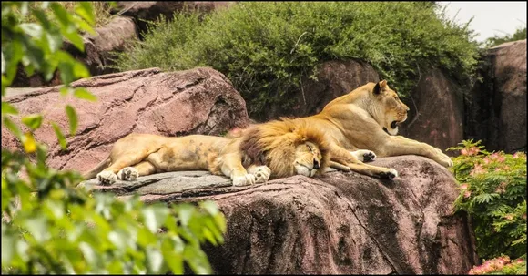world’s largest Zoo