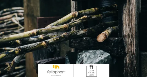 Yellophant Digital