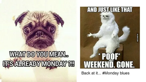 Monday