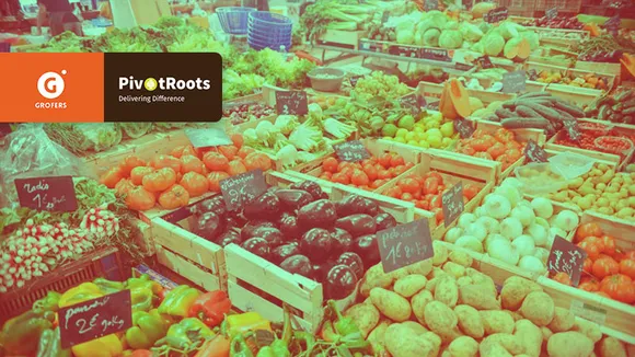 PivotRoots