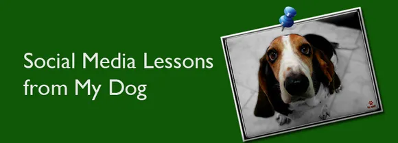 Social Media Lessons From My Dog