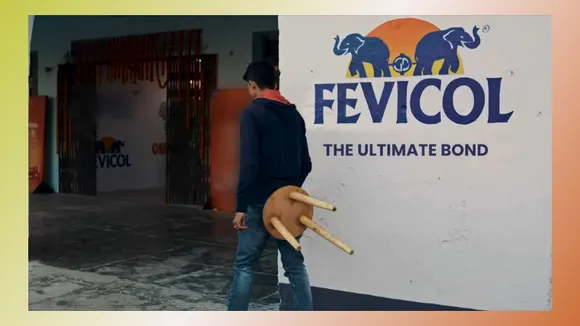 Fevicol