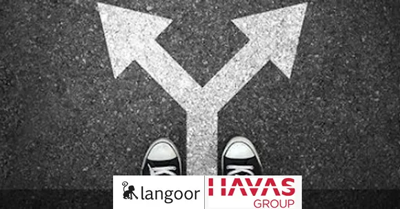 Havas Langoor