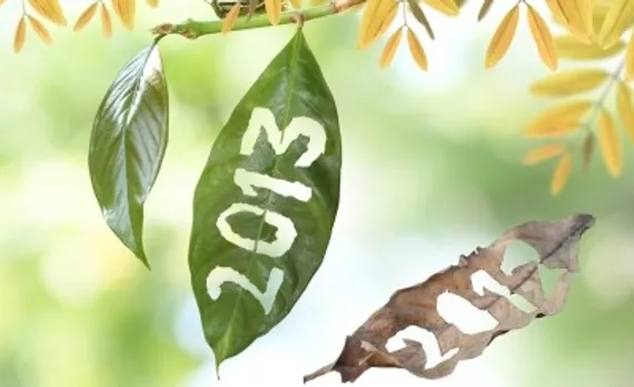 2013 new year