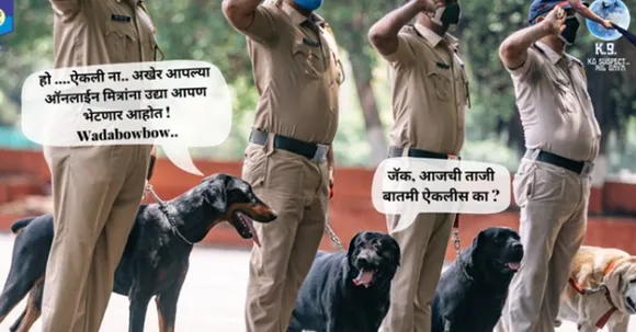 Police dog creatives