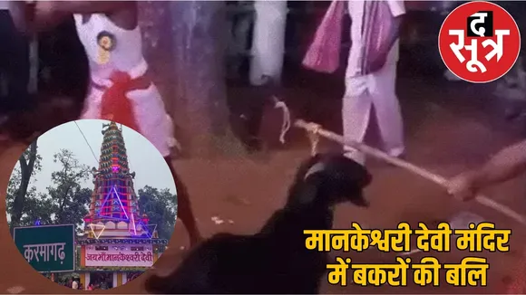 Sharad Purnima night sacrificed goats drank blood please goddess