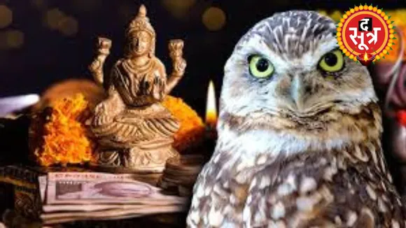 दिवाली का उल्लू से कनेक्शन