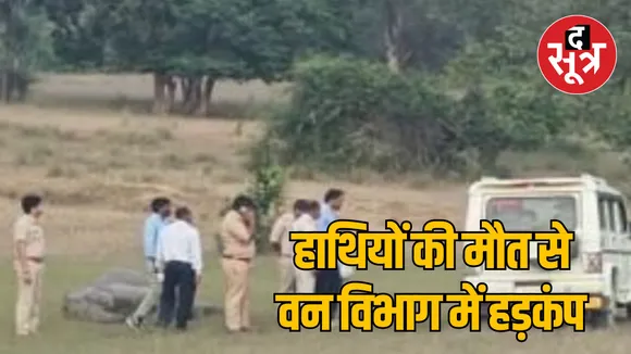 MP Umaria Bandhavgarh Tiger Reserve 4 elephants Suspicious death