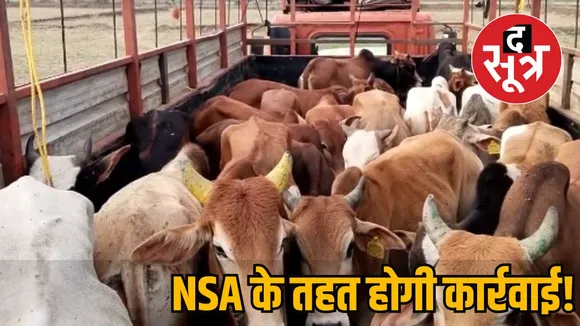 NSA.