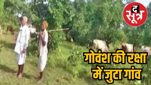 गोवंश की रक्षा में जुटा गांव