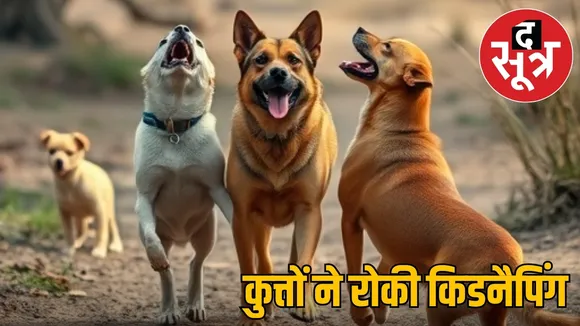 dogs