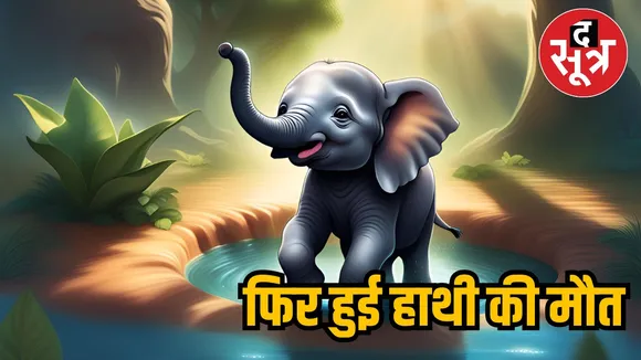  वन विभाग ने उसकी देखभाल के लिए रेस्क्यू कर 