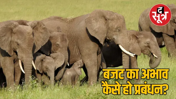 MP bhopal Elephant project closed due to lack of budget from central government 