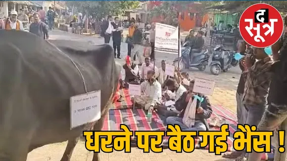 buffalo protest panchayat