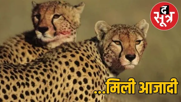 cheeta agni  vaayu 