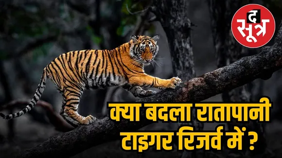 ratapani tiger reserve