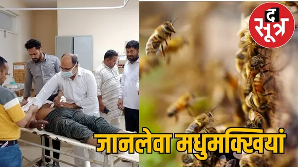 Bees attack Korba district the sootr