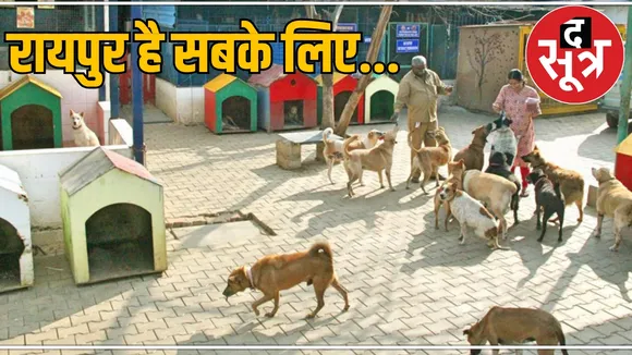 Paying Guest House for Pet Dogs in Raipur the sootr