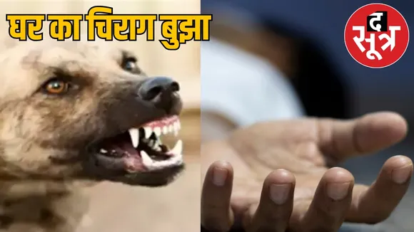 Child dies in Jashpur due to rabies the sootr