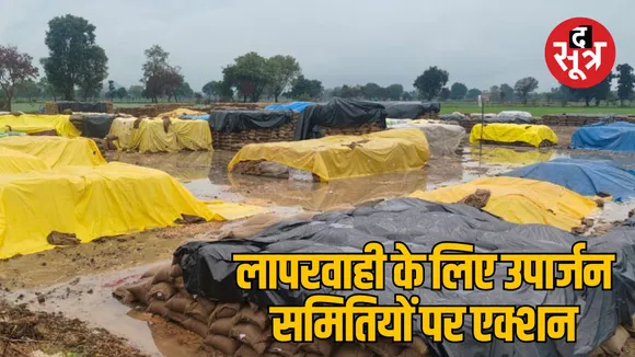 jabalpur heavy rain affected rice wet farmers relief action