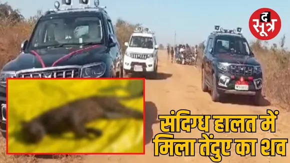 panna district leopard carcass investigation