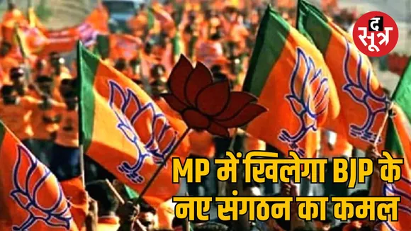 bjp district president selection madhya pradesh