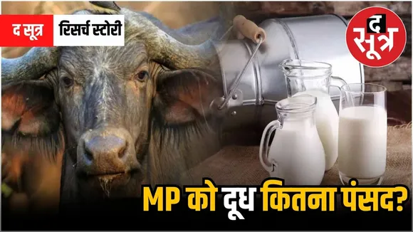 mp milk