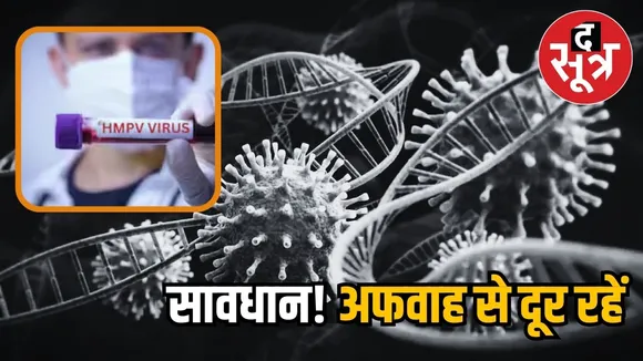 hpvb virus