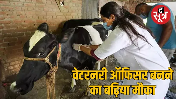mppsc veterinary officer recruitment 2025