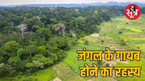 mp development project and encroachment deforestation Case