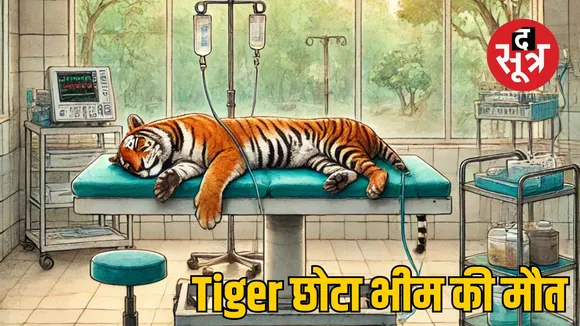 Tiger Chhota Bheem