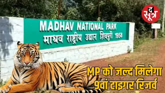 madhya pradesh 9th tiger madhav tiger reserve notification
